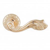 ����� ������� Palladium Brillante GP