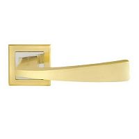 ����� ������� Palladium � Lazio GP