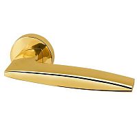 ����� ������� Armadillo Squid URB9 Gold-24