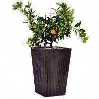 ����� ��� ������ Keter Rattan Planter S 285�285�435 �� ����� ����������