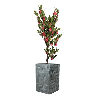 ������ ������������� Nobilis Marco ������� H150 ��