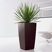 ����� Lechuza Cubico Espresso 40x40xH75 ��